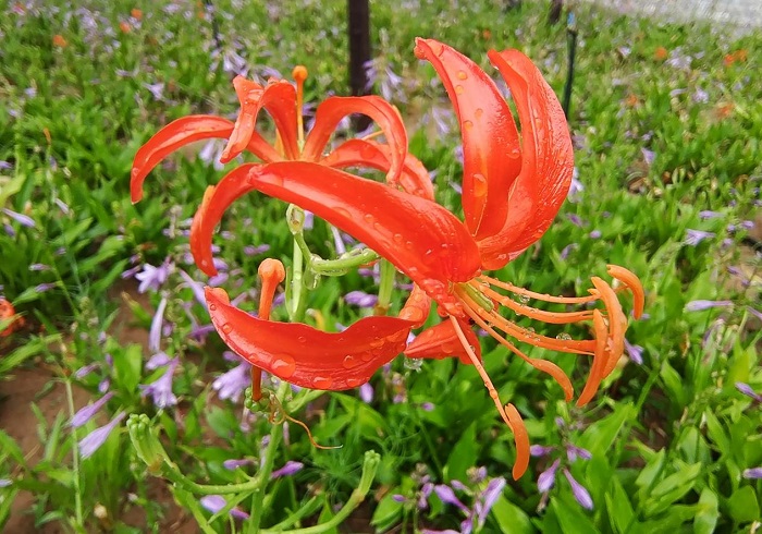 221755834201213644.jpg image1.jpeg