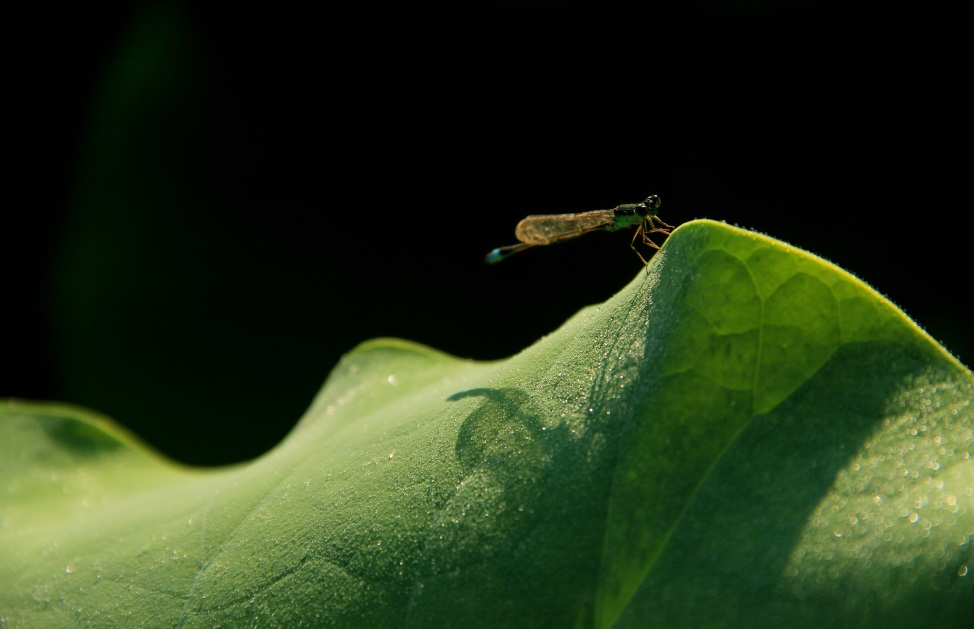 051757036949540662.png 051757036949540662.png