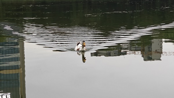 091759999184212565.jpg 2(1).jpg