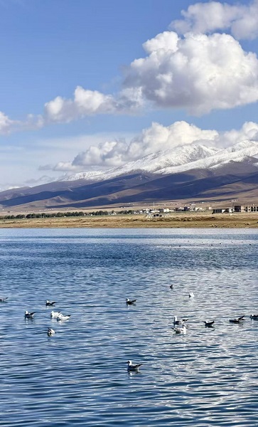 111760148245168316.jpg image1.jpeg