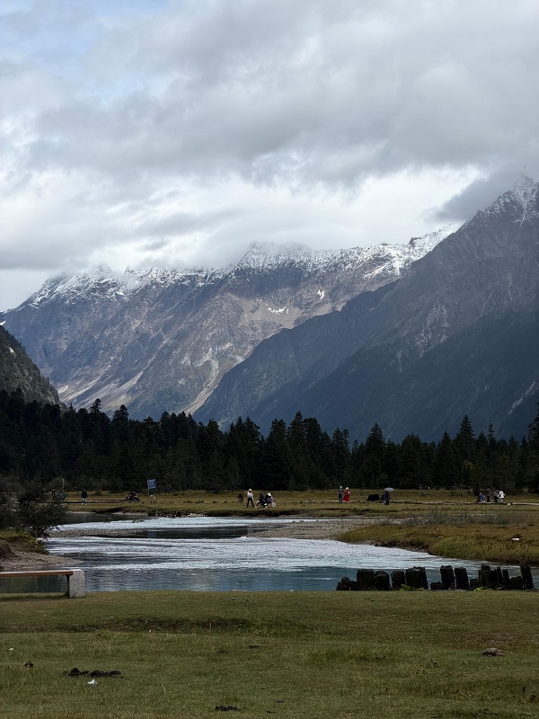 241761303633343077.jpg image4.jpeg